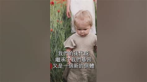 強求的愛情|【泛哲學】愛，不愛——談柏拉圖的愛情